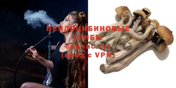 ALPHA PVP Бугульма