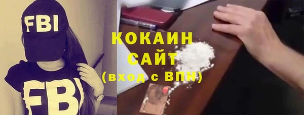молекула духа Бородино