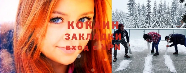 молекула духа Бородино