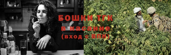 молекула духа Бородино