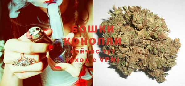 молекула духа Бородино