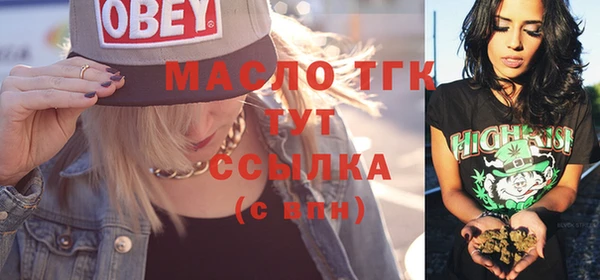 молекула духа Бородино