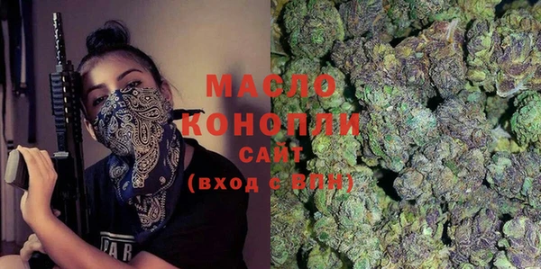 молекула духа Бородино