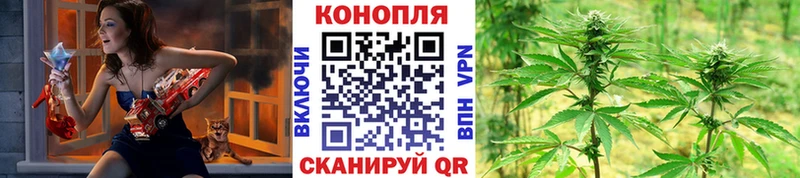 Купить где  Нововоронеж  МАРИХУАНА MAZAR 
